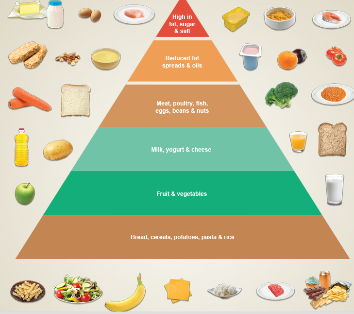 Screenshot of Food Pyramid Game